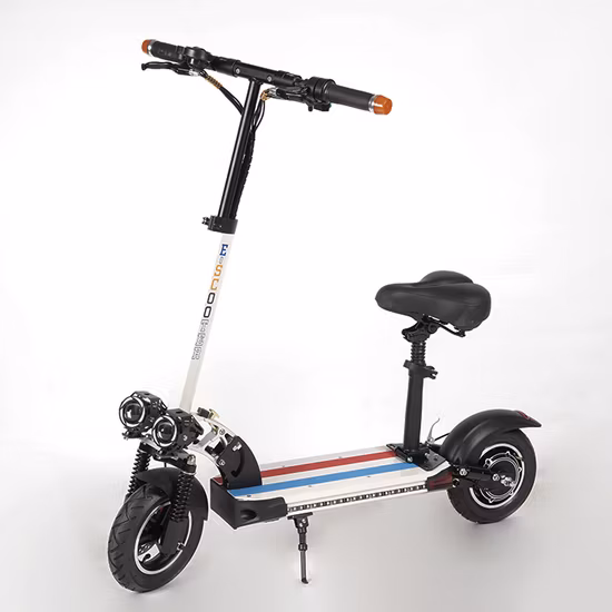 Vero freno meccanico da 500 W all'ingrosso 48 V 12,5 Ah 10 pollici velocità massima 45 km scooter elettrico