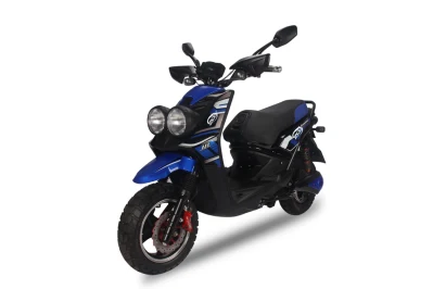 Bici da moto elettrica per adulti potente da 1000 W/Scooter elettrico/Scooter da moto elettrico (BWS)