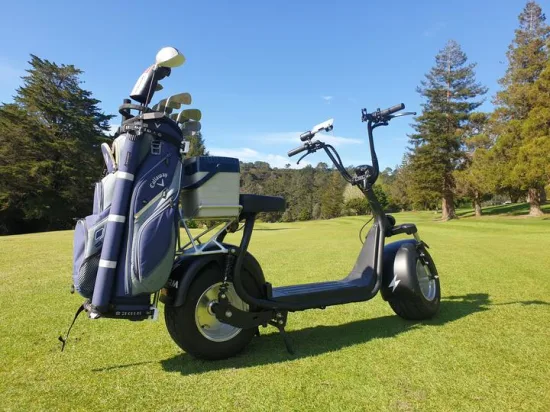 Golf Cruiser Fat Tire Triciclo Golf Course Scooter Carrello da golf elettrico standard CE